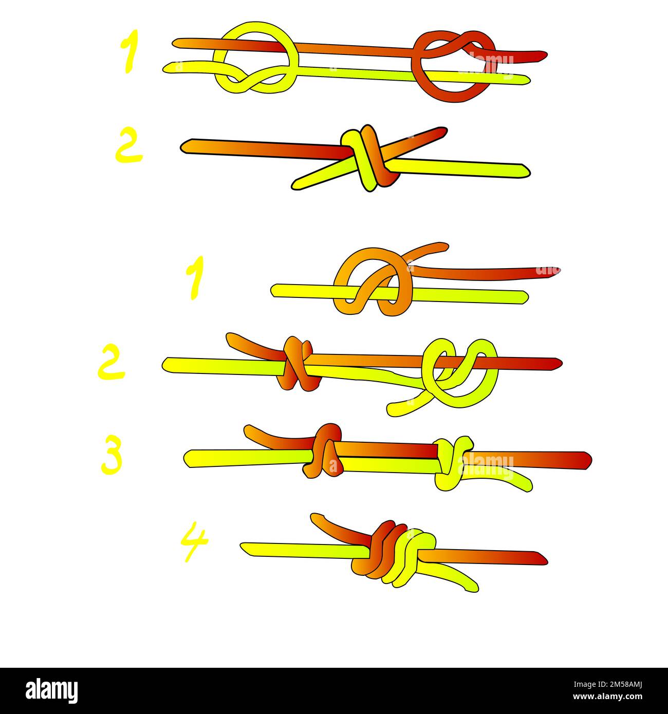 Fisherman`s knot and Double Fisherman`s knot; vector illustration; Stock Vector